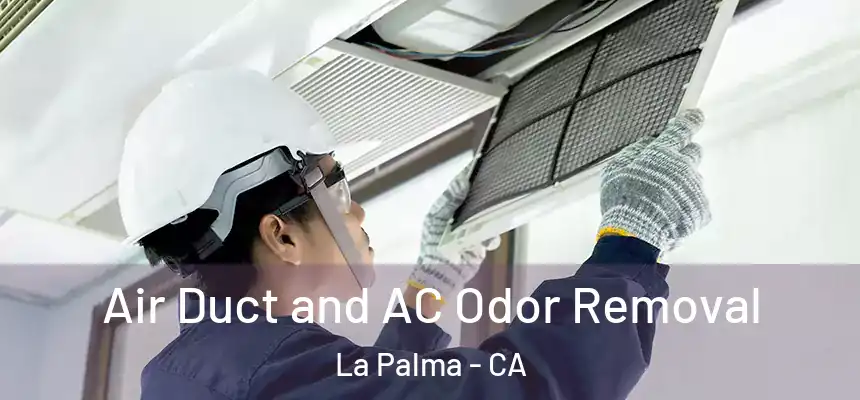  Air Duct and AC Odor Removal La Palma - CA