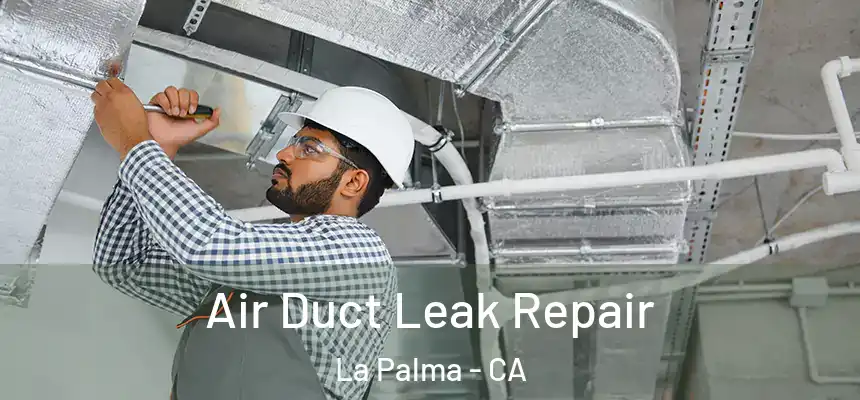  Air Duct Leak Repair La Palma - CA