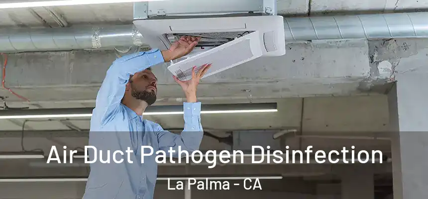  Air Duct Pathogen Disinfection La Palma - CA