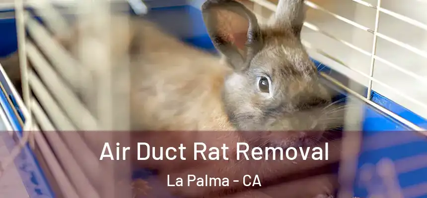  Air Duct Rat Removal La Palma - CA