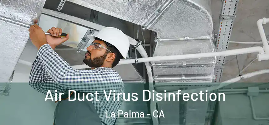  Air Duct Virus Disinfection La Palma - CA