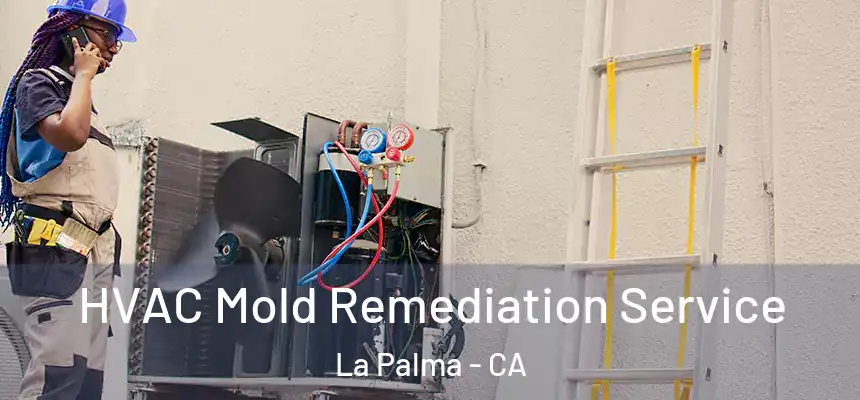  HVAC Mold Remediation Service La Palma - CA