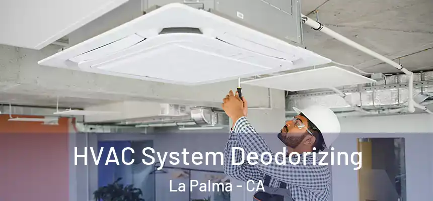  HVAC System Deodorizing La Palma - CA