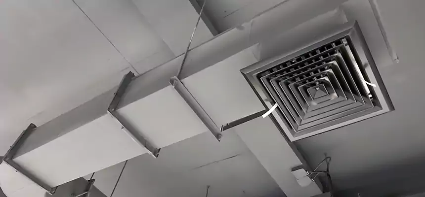 Our Pest Removal From Ducts Services in La Palma, CA