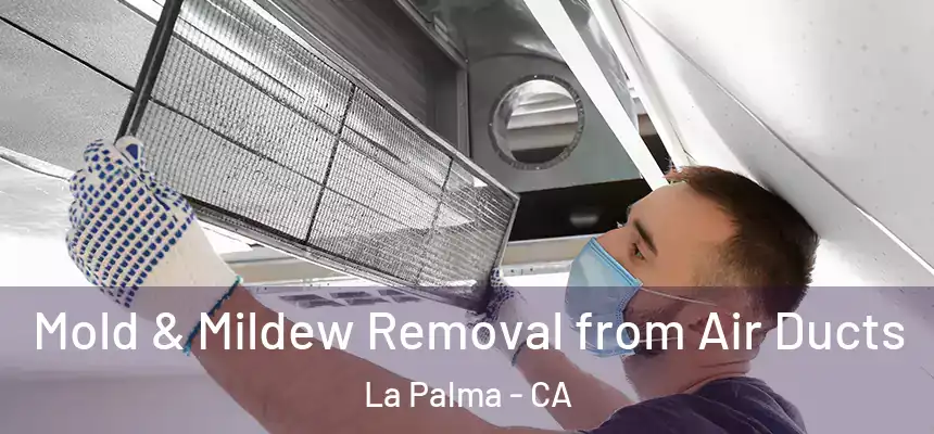  Mold & Mildew Removal from Air Ducts La Palma - CA