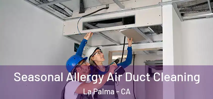  Seasonal Allergy Air Duct Cleaning La Palma - CA