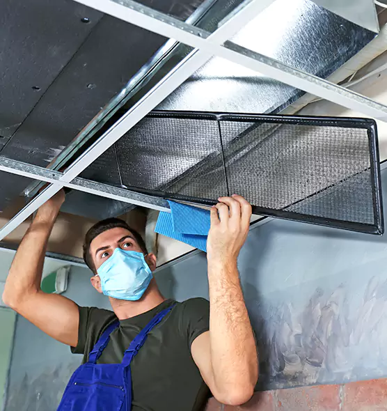 About Air Duct Bacteria Removal in La Palma