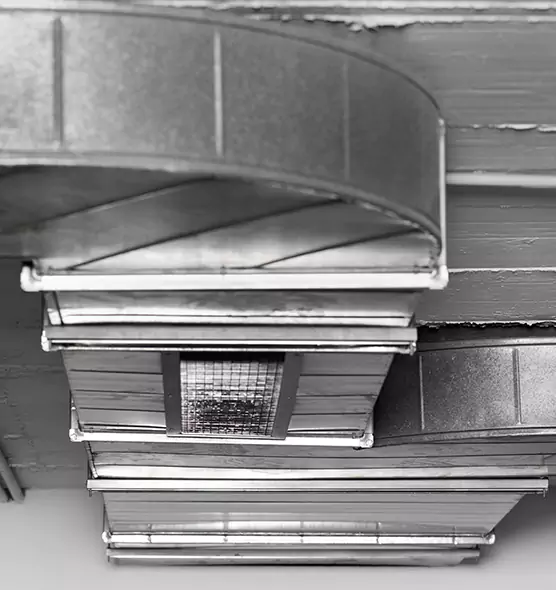 Professional Air Duct Pet Hair Removal in La Palma, CA