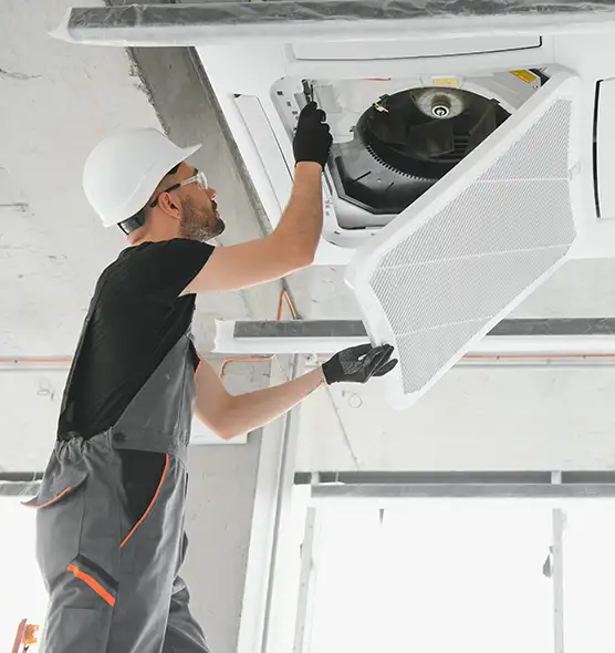 About Air Duct Rodent Removal in La Palma, CA