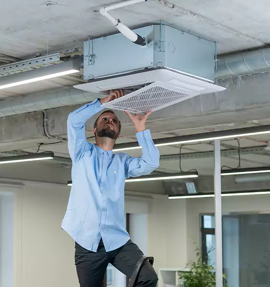 Advanced Rodent Droppings In Vents in La Palma, CA