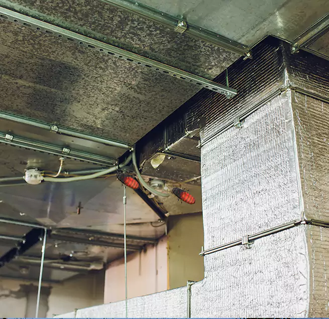 Why Homeowners & Businesses Trust Us in La Palma, CA?