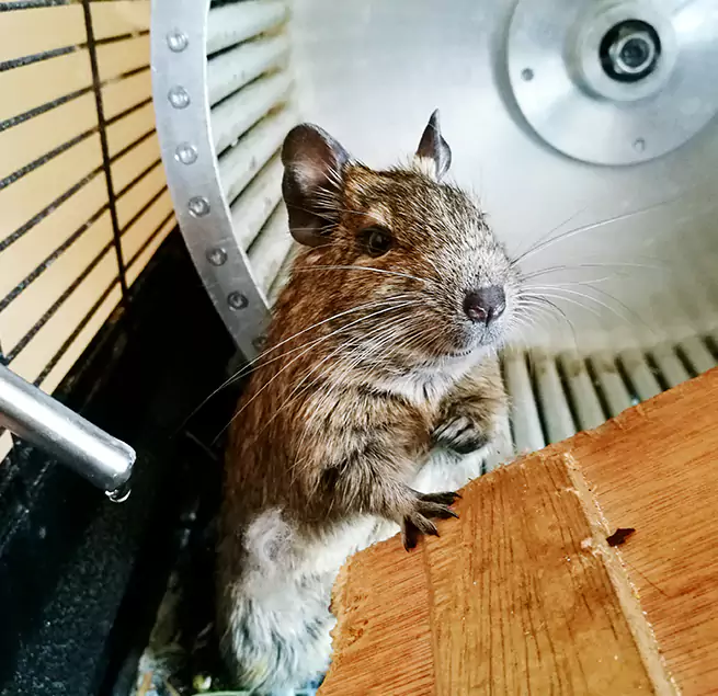 Why Homeowners & Businesses Trust Us La Palma, CA