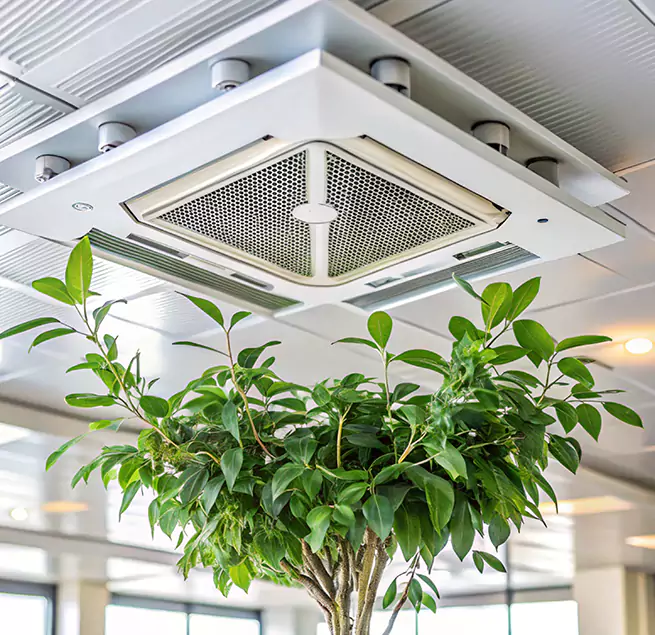 Why Homeowners & Businesses Trust Us in La Palma, CA?